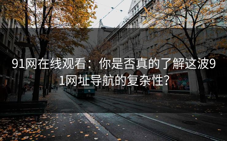 91网在线观看：你是否真的了解这波91网址导航的复杂性？