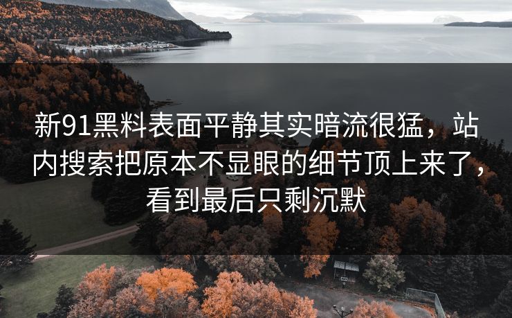 新91黑料表面平静其实暗流很猛，站内搜索把原本不显眼的细节顶上来了，看到最后只剩沉默