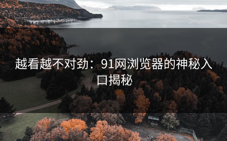 越看越不对劲：91网浏览器的神秘入口揭秘