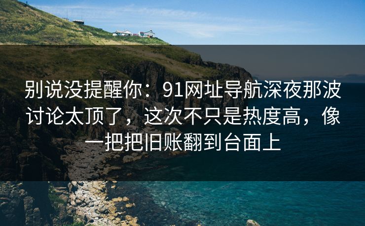 别说没提醒你：91网址导航深夜那波讨论太顶了，这次不只是热度高，像一把把旧账翻到台面上