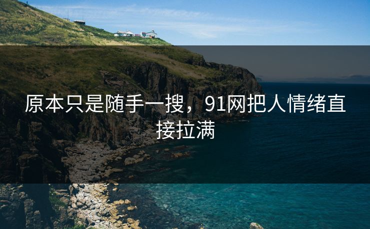 原本只是随手一搜，91网把人情绪直接拉满