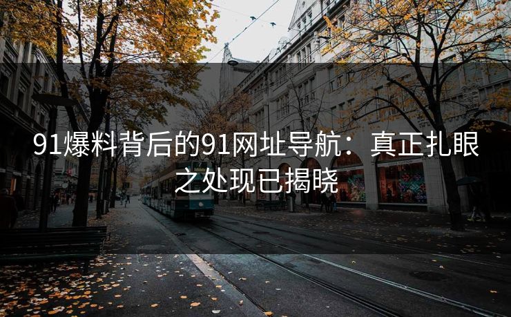 91爆料背后的91网址导航：真正扎眼之处现已揭晓