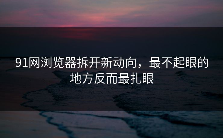 91网浏览器拆开新动向，最不起眼的地方反而最扎眼
