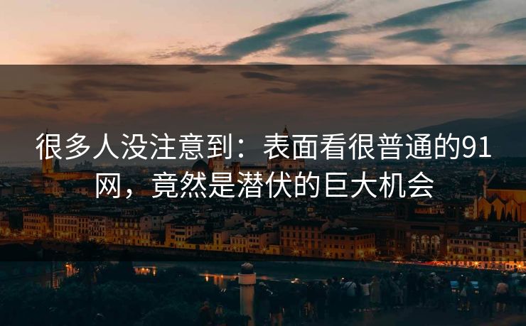 很多人没注意到：表面看很普通的91网，竟然是潜伏的巨大机会