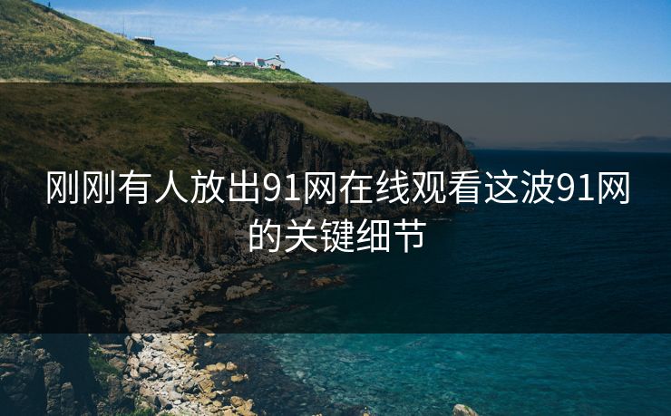 刚刚有人放出91网在线观看这波91网的关键细节