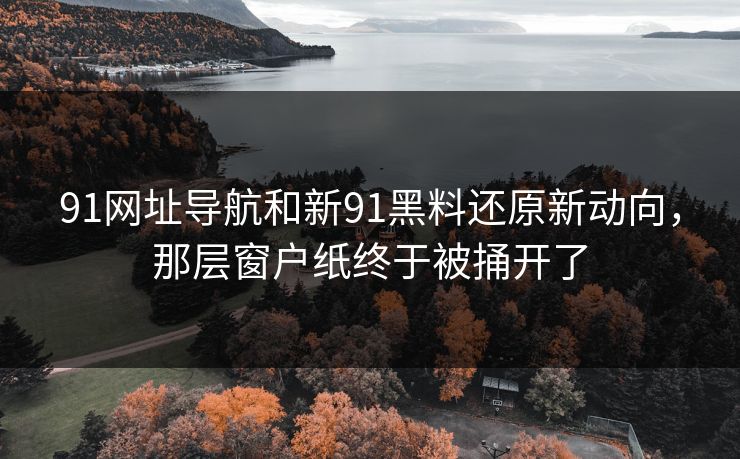 91网址导航和新91黑料还原新动向，那层窗户纸终于被捅开了