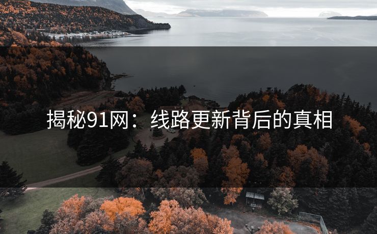 揭秘91网：线路更新背后的真相
