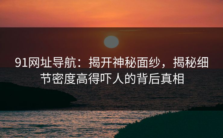 91网址导航：揭开神秘面纱，揭秘细节密度高得吓人的背后真相