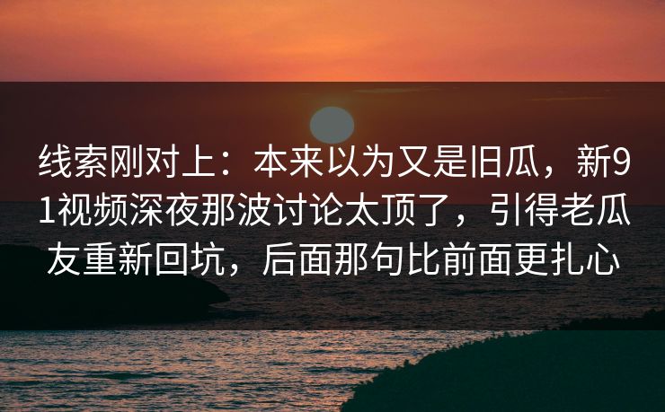 线索刚对上：本来以为又是旧瓜，新91视频深夜那波讨论太顶了，引得老瓜友重新回坑，后面那句比前面更扎心