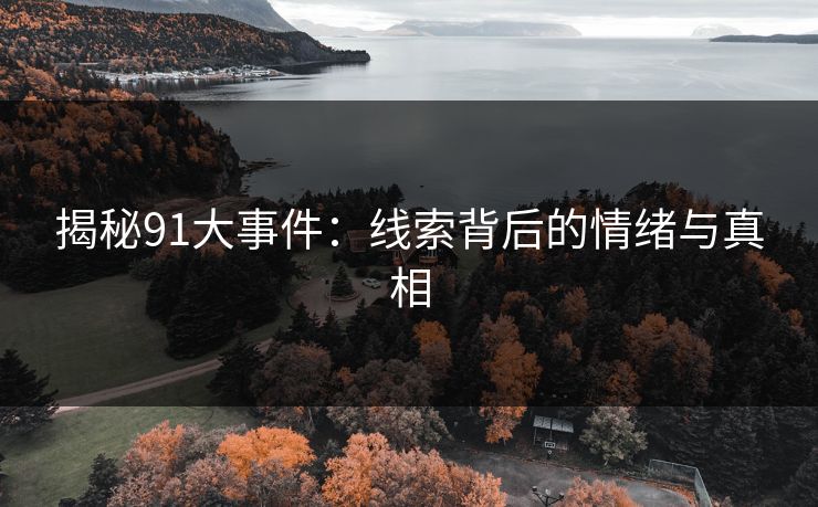 揭秘91大事件：线索背后的情绪与真相
