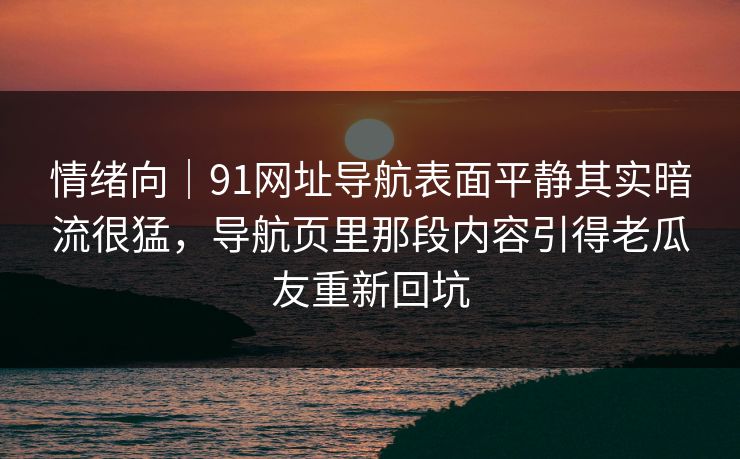 情绪向｜91网址导航表面平静其实暗流很猛，导航页里那段内容引得老瓜友重新回坑
