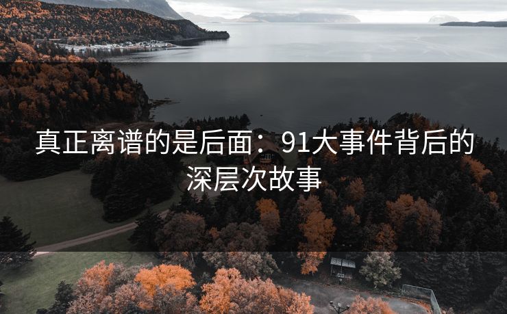 真正离谱的是后面：91大事件背后的深层次故事